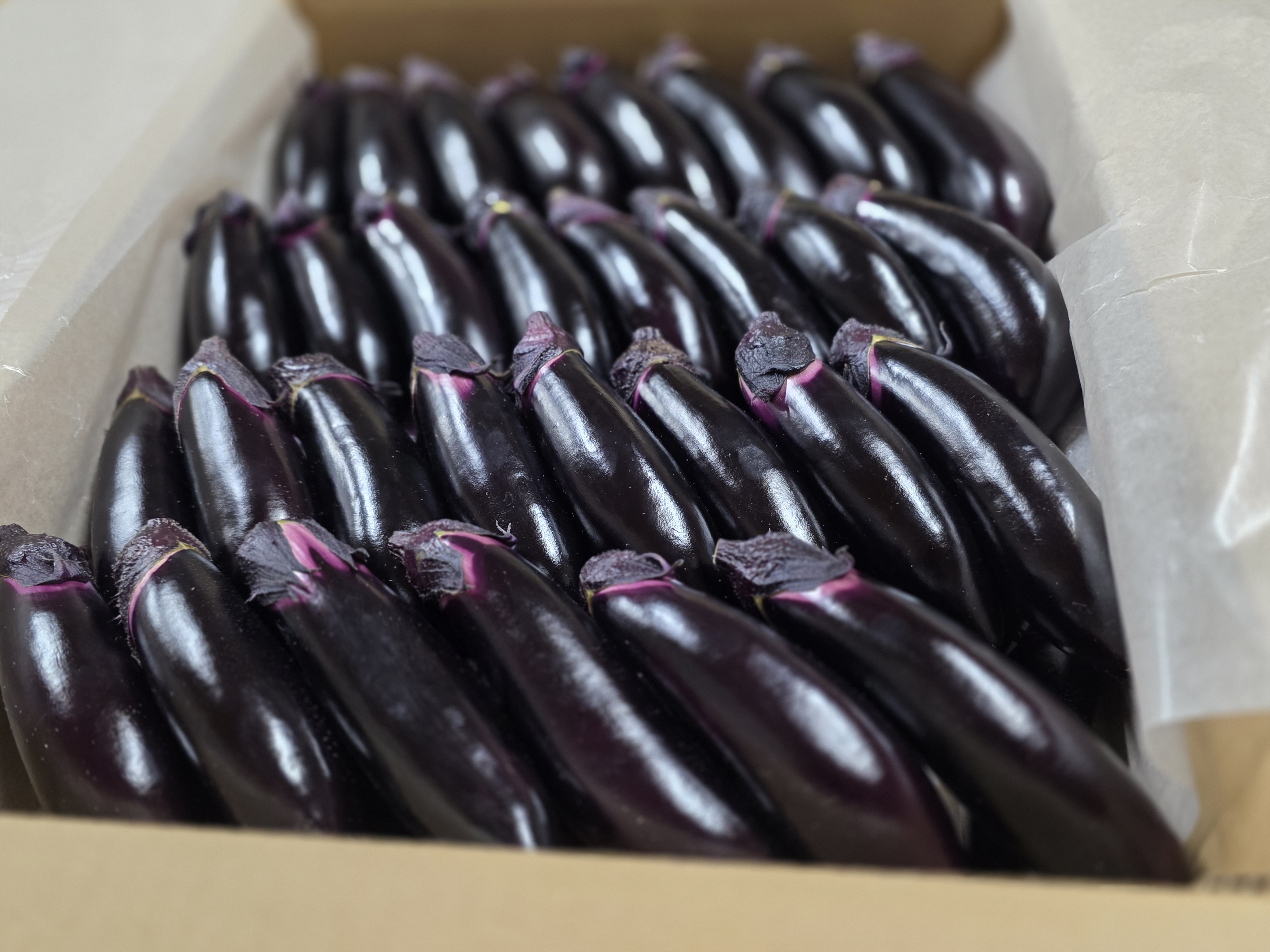 箱詰めされたナス
