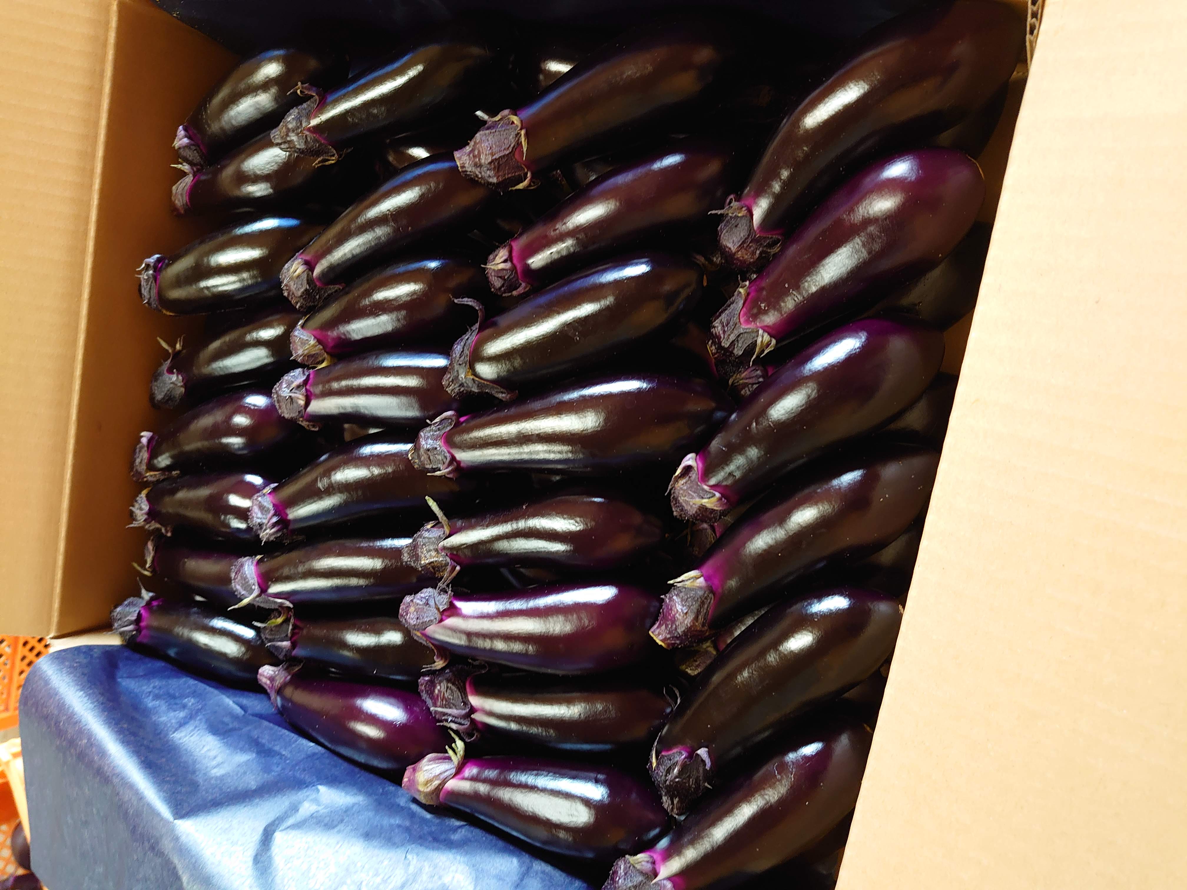 箱詰めされたナス